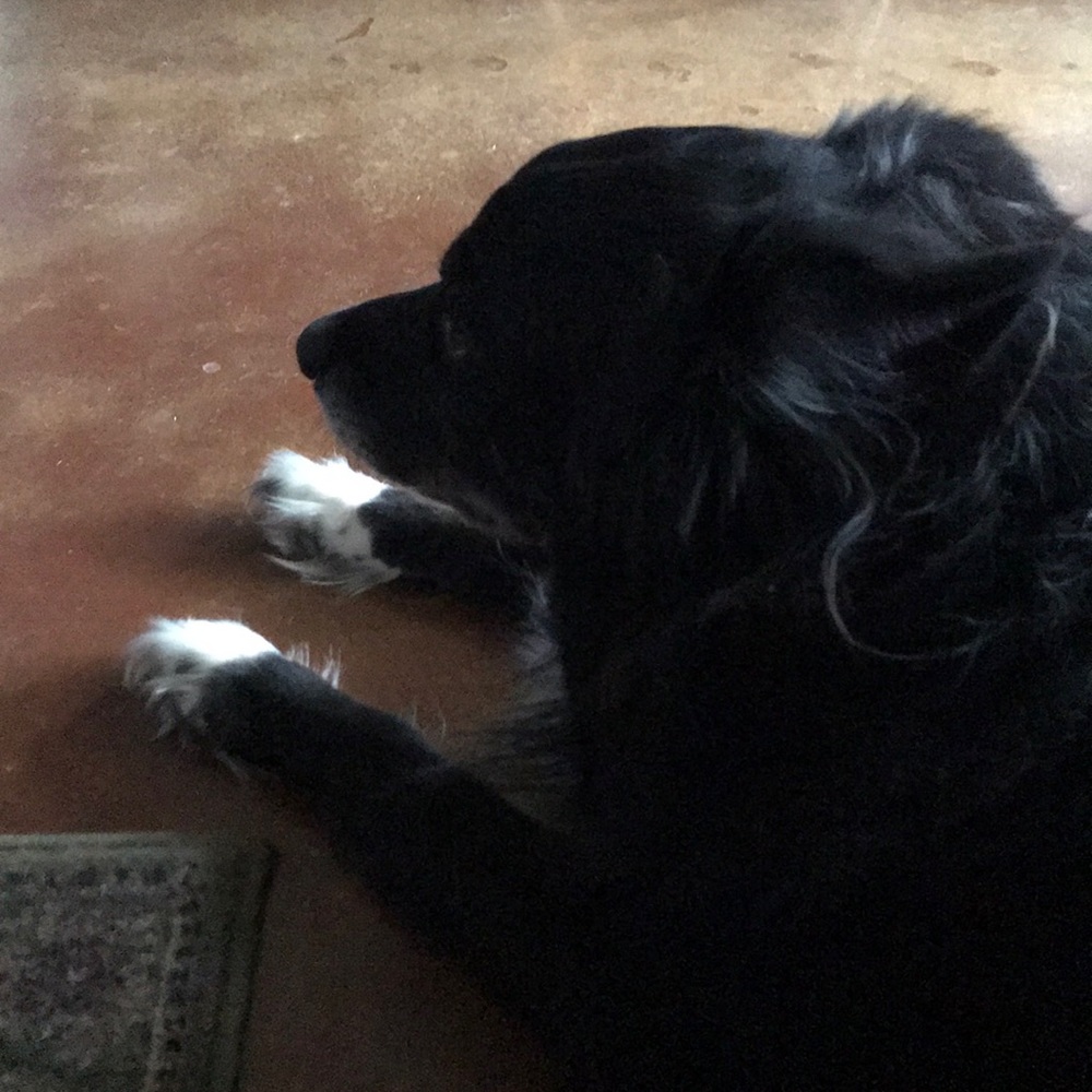 Meet your Posher, Briza